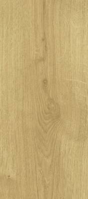 Solid Floor 8-31 1675