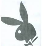 Zavesa "Playboy"