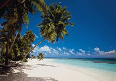 FOTO TAPET KOMAR-368/254 - 8-240 Maldives