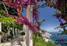 FOTO TAPET KOMAR-368/254 - 8-931 Amalfi