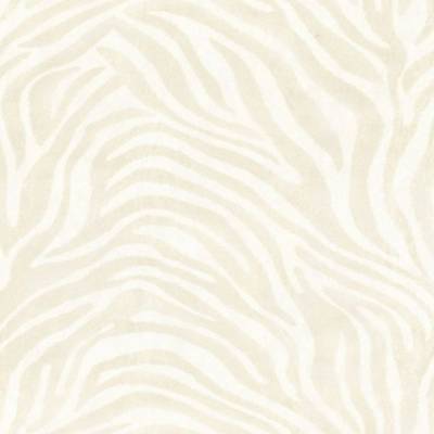 Roberto Cavalli - 12047