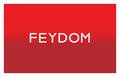 FEYDOM Concept doo