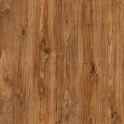 Elegance 1232 4V Ottawa Bay Walnut