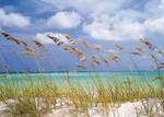 FOTO TAPET KOMAR-368/254 - 8-515 Ocean_Breeze
