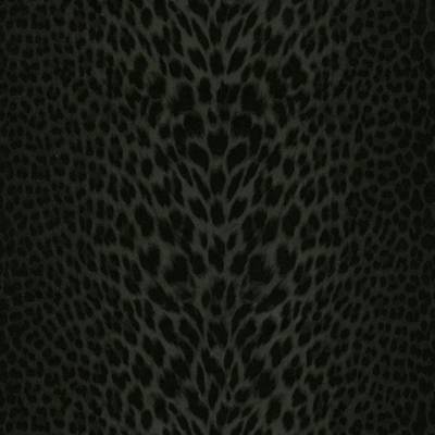 Roberto Cavalli - 12020