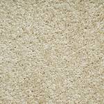 Tepison TAMPA 33