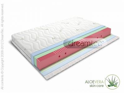 Dušek Biodream 80x200 ili 190cm