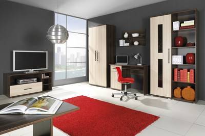 Regal R17