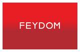 FEYDOM Concept doo