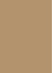Tepisi Natural Shaggy Beige