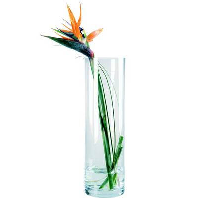 Vaza "Cylinder"