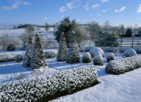 http://www.art.com/products/p7255255524-sa-i5112663/clive-nichols-pettifers-garden-oxfordshire-snow-covered-parterre-with-box-and-yew-shapes-countryside-beyond.htm