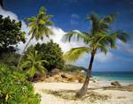 FOTO TAPET KOMAR-368/254 - 8-885 Praslin
