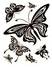 STIKER – 2 - 483