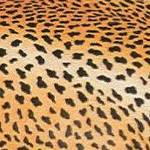 GEPARD*2352*7