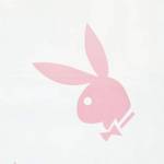 Zavesa "Playboy"