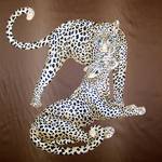 Gepard "2352"