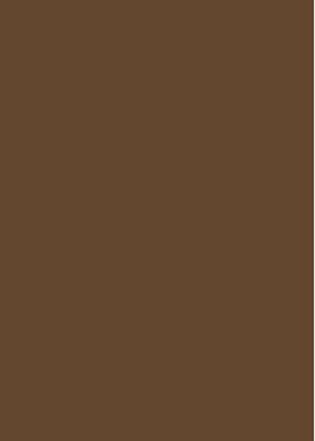 Tepisi Natural Shaggy Brown