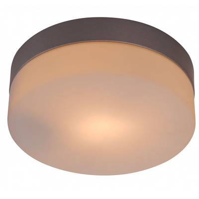 Plafonska lampa