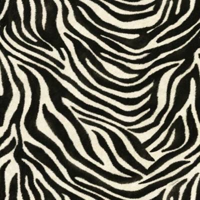 Roberto Cavalli - 12046
