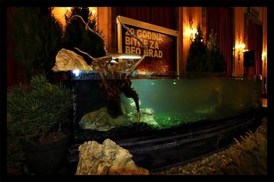 Akvarijum grad Beograd 1