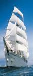 FOTO TAPET KOMAR-86/220 – 2-1017 Sailing Boat