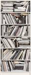 FOTO TAPET KOMAR-92/220 – 2-1946 bookcase