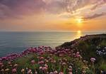 FOTO TAPET KOMAR-368/254 - 8-901 Lands_End