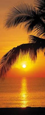 FOTO TAPET KOMAR-97/220 – 2-1255_Palmy Beach Sunrise