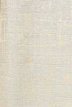LA FENICIE 3833