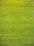 Yaren tepih 007 GREEN