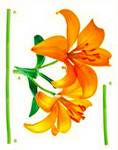 STIKER – 1 - 467