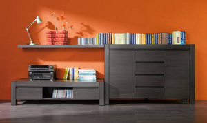 Pogledajte TV policu firme Maxi Meble brw