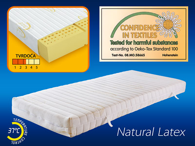 Dušek Natural Latex