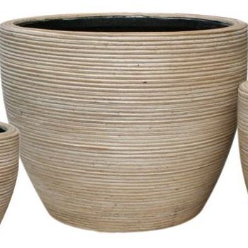 UKRASNA SAKSIJA INDOOR